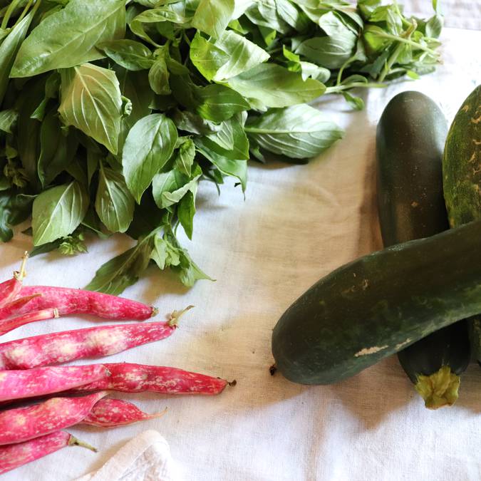 Légumes | Basilic | Haricots verts plats | Haricots coco rouges 