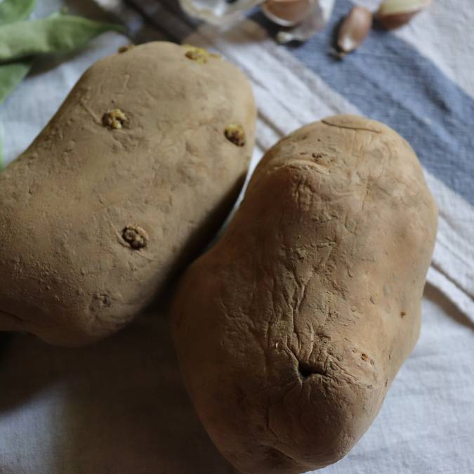 Patates