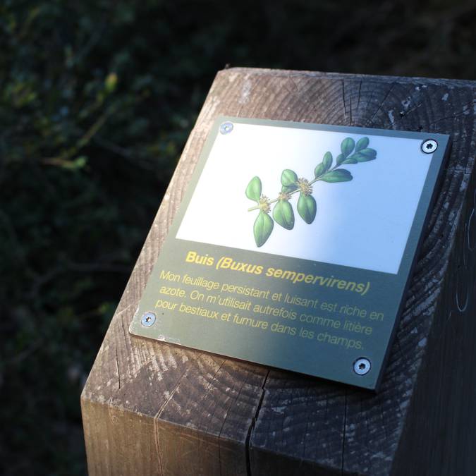 Borne information | Buis | Forêt des Cèdres