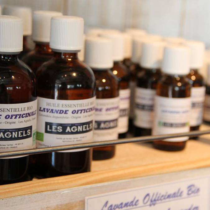 Distillerie de lavande | Lavande | Visite groupe | Luberon | Huile essentielle