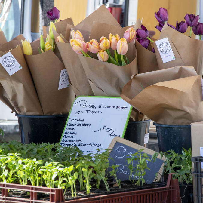 fleurs | bouquets | marché 