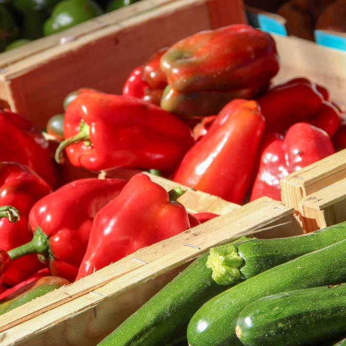 Marché provençal du Luberon | Poivrons | Courgette | Variétés | Étal