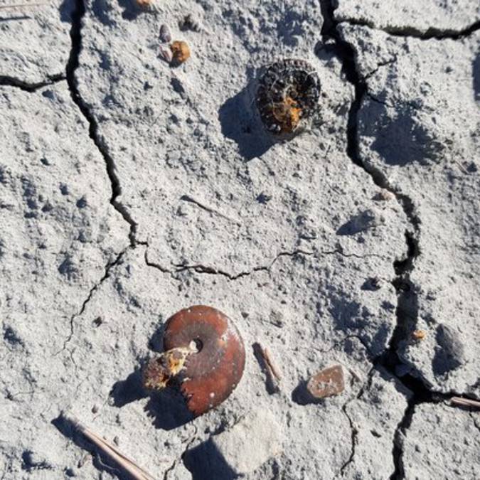 Marnes aptésiennes | Géologie