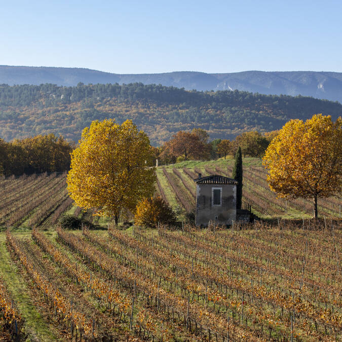 © Office de Tourisme Pays d'Apt Luberon automne