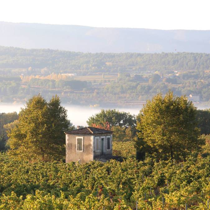 Cabanon | Vignes |Vendanges | Luberon