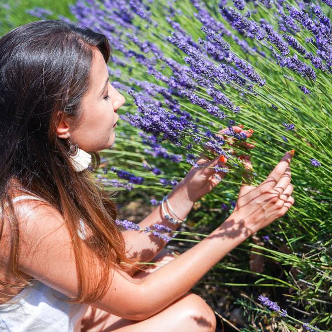 Lavande | Champs de Lavande | Luberon | Provence |Liberté 