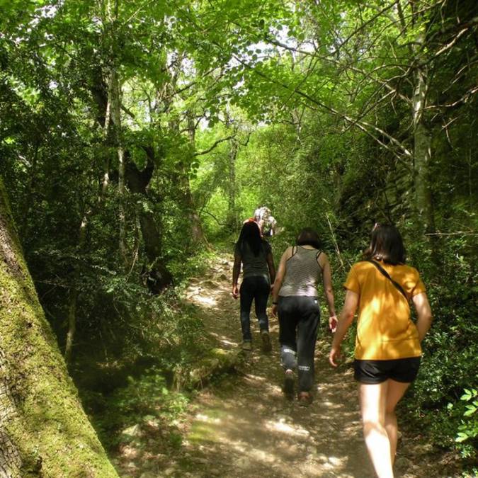 Randonnées dans le Luberon | Vallon de L'Aiguebrun 