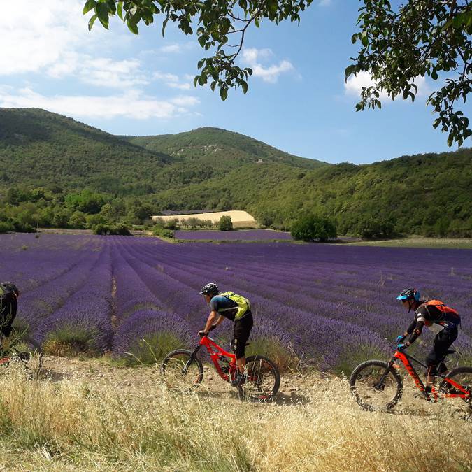 VTT Luberon | Espace VTT Provence Luberon Lure |
