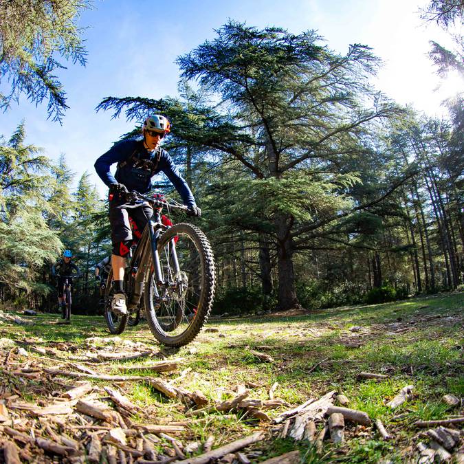 Forêt des cèdres | Itinéraire VTT