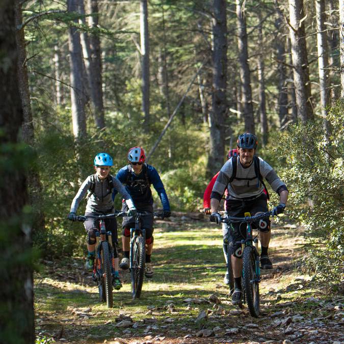Forêt des cèdres |  Itinéraire VTT 